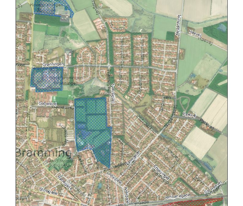 Problemer med råger i Bramming