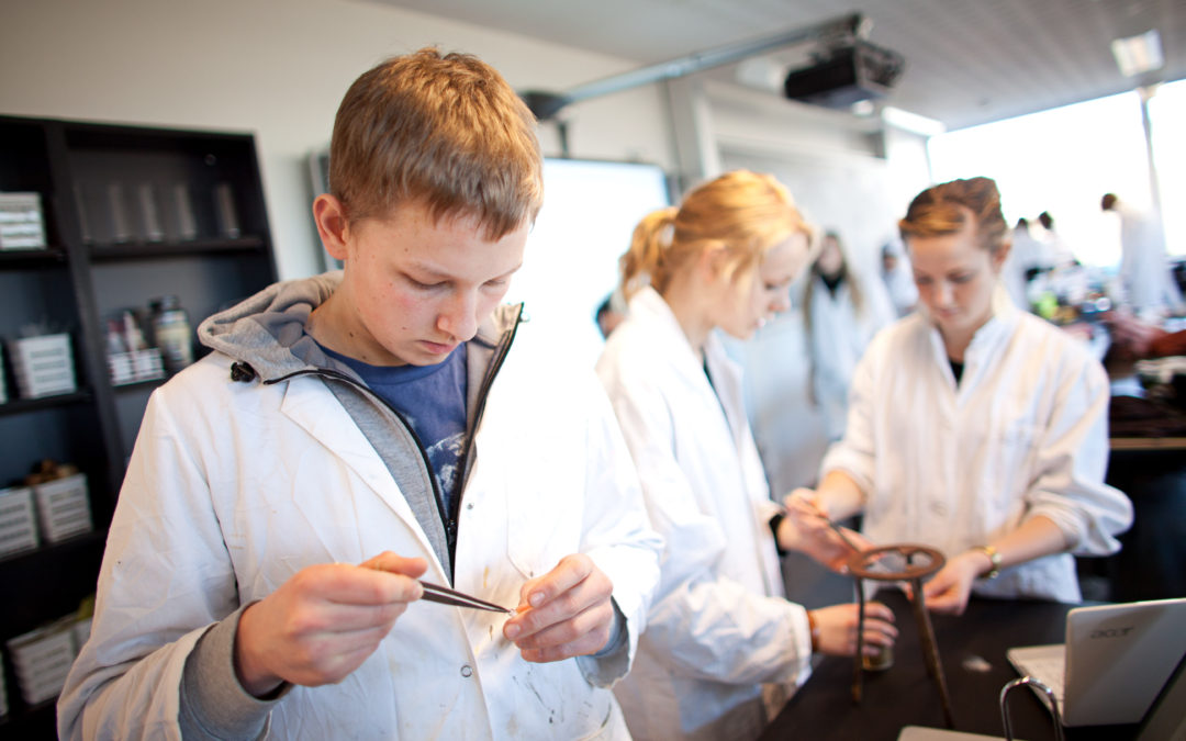 Hvad vil vi med Bramming?