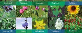 Faunastriber” – Vær med til at skabe mere liv omkring os